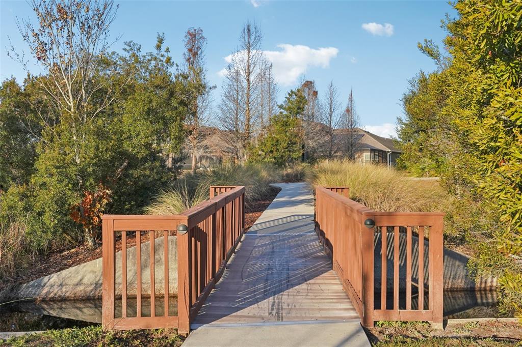 32451 Natural Bridge Road Wesley Chapel, FL 33543 - Photo 39 of 48