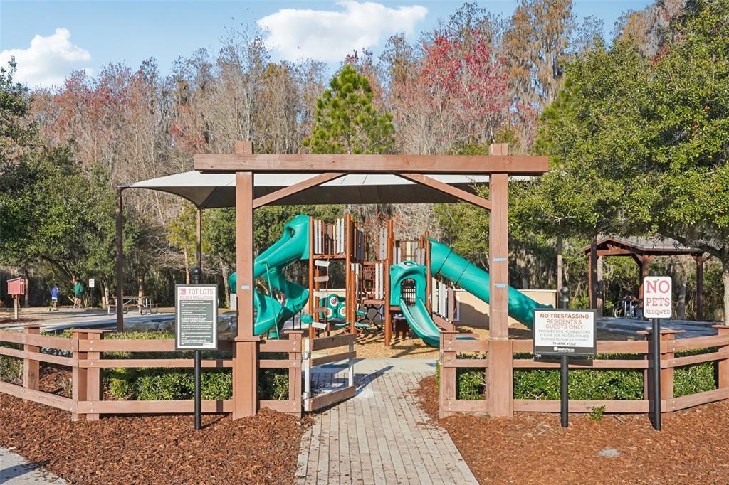 32451 Natural Bridge Road Wesley Chapel, FL 33543 - Photo 40 of 48