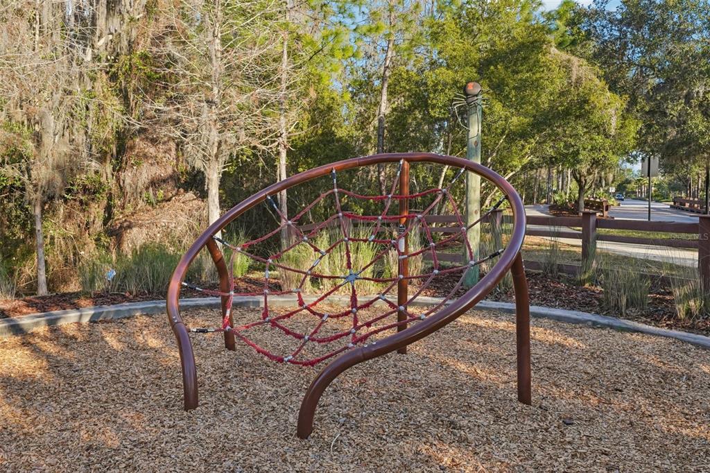 32451 Natural Bridge Road Wesley Chapel, FL 33543 - Photo 42 of 48