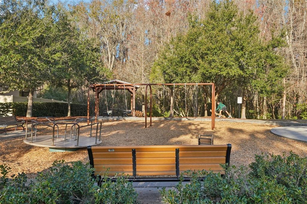 32451 Natural Bridge Road Wesley Chapel, FL 33543 - Photo 43 of 48