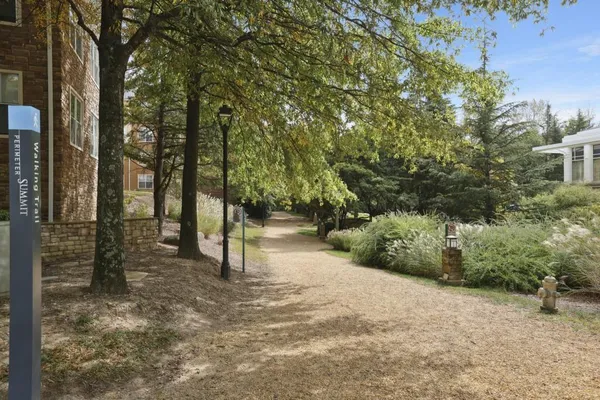 a view of a forest with trees