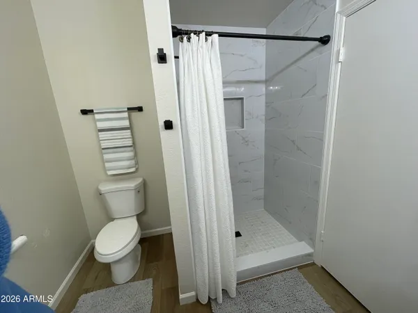 a bathroom with a shower and a toilet