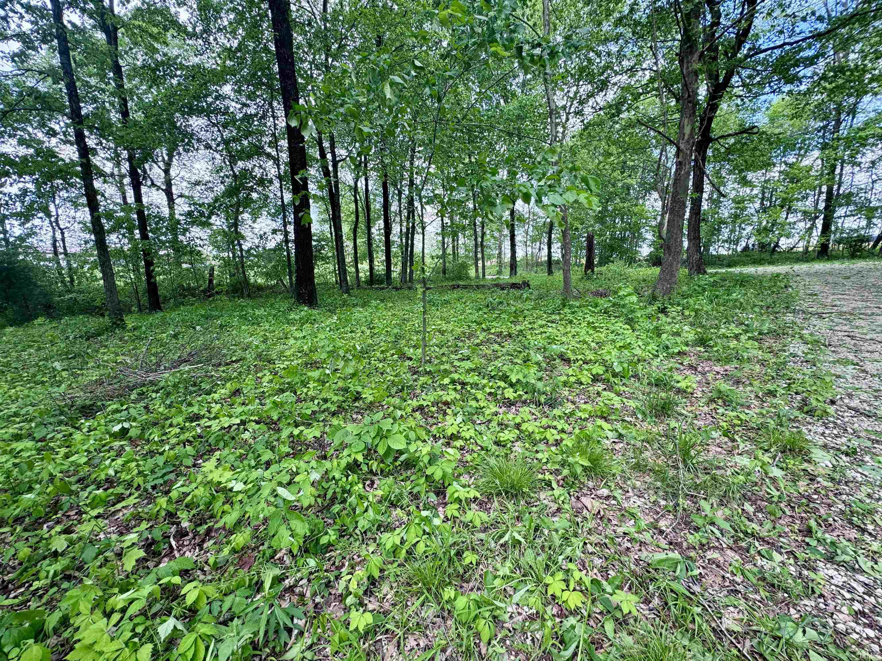 7358 South Meadows Lane French Lick, IN 47432 - Photo 31 of 36