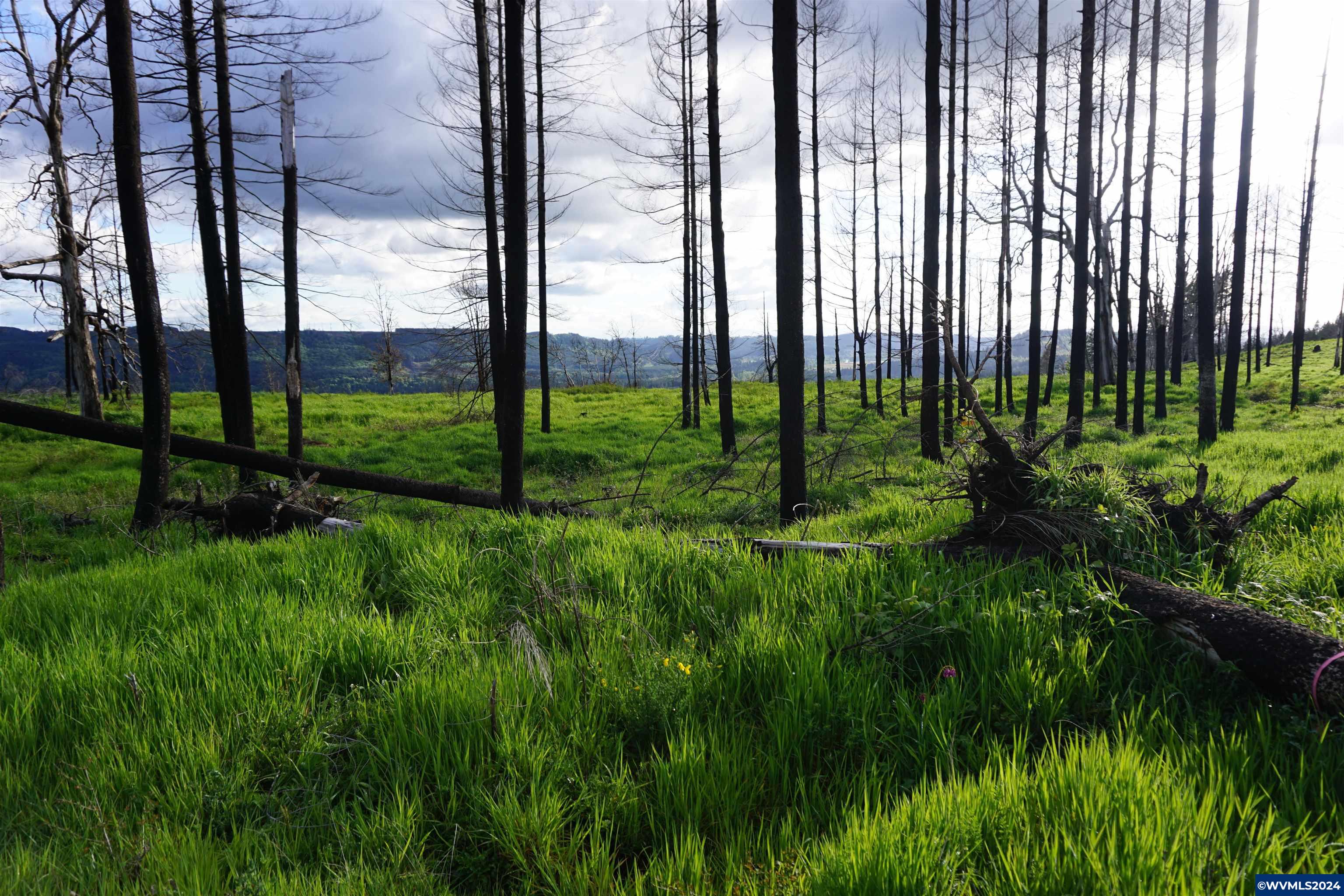 900 Wagner Road Lyons, OR 97358 - Photo 1 of 30