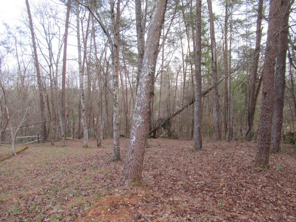 61 Berry Patch Lane Cleveland, GA 30528 - Photo 2 of 23 a view of patio with trees