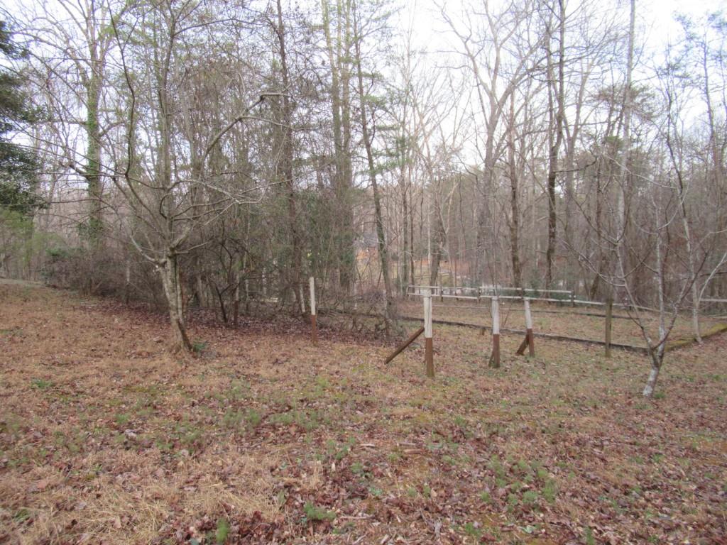 61 Berry Patch Lane Cleveland, GA 30528 - Photo 3 of 23 a view of outdoor space with trees