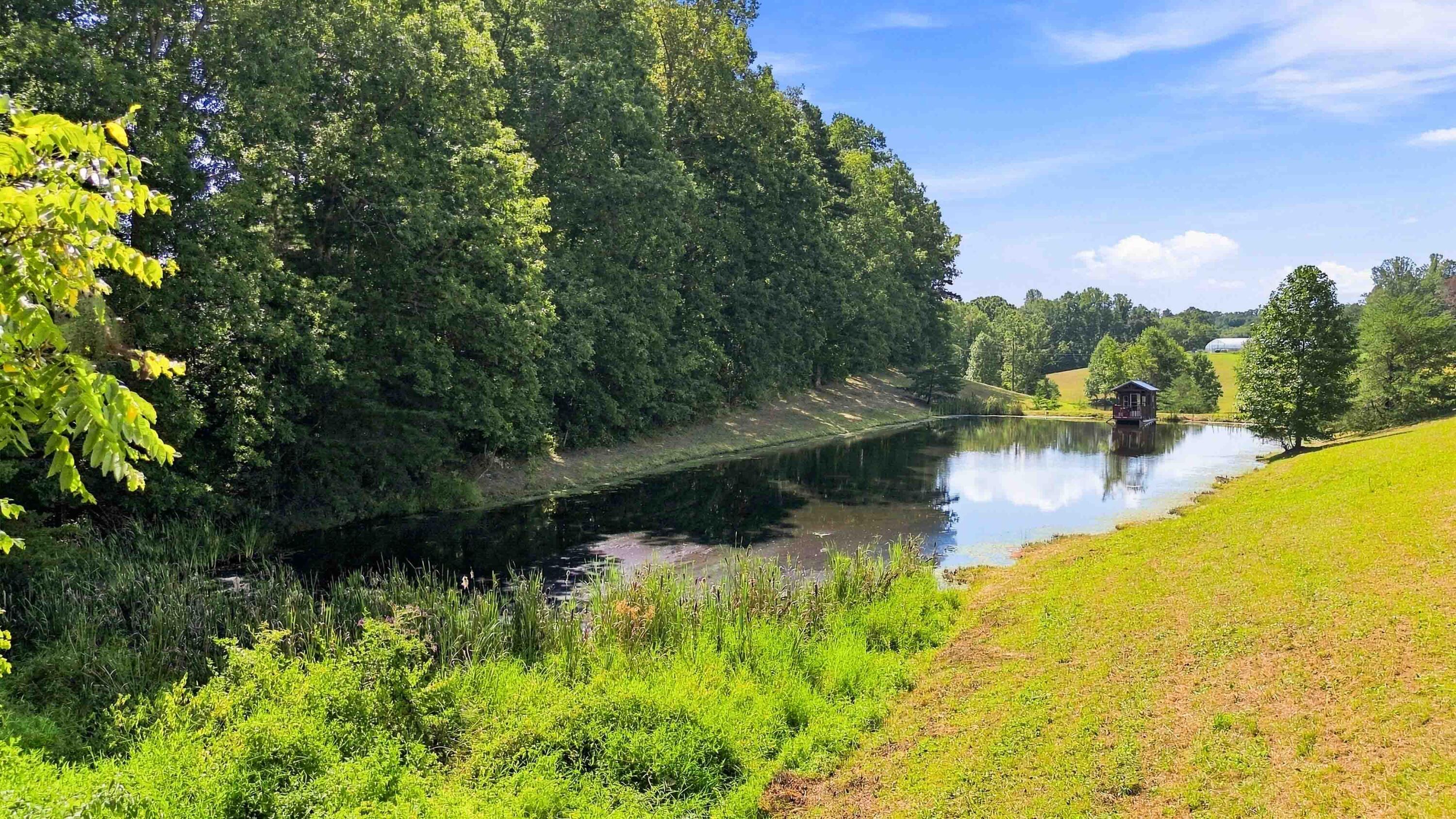 585 Tunnel Ridge Road Stearns, KY 42647 - Photo 100 of 106 106
