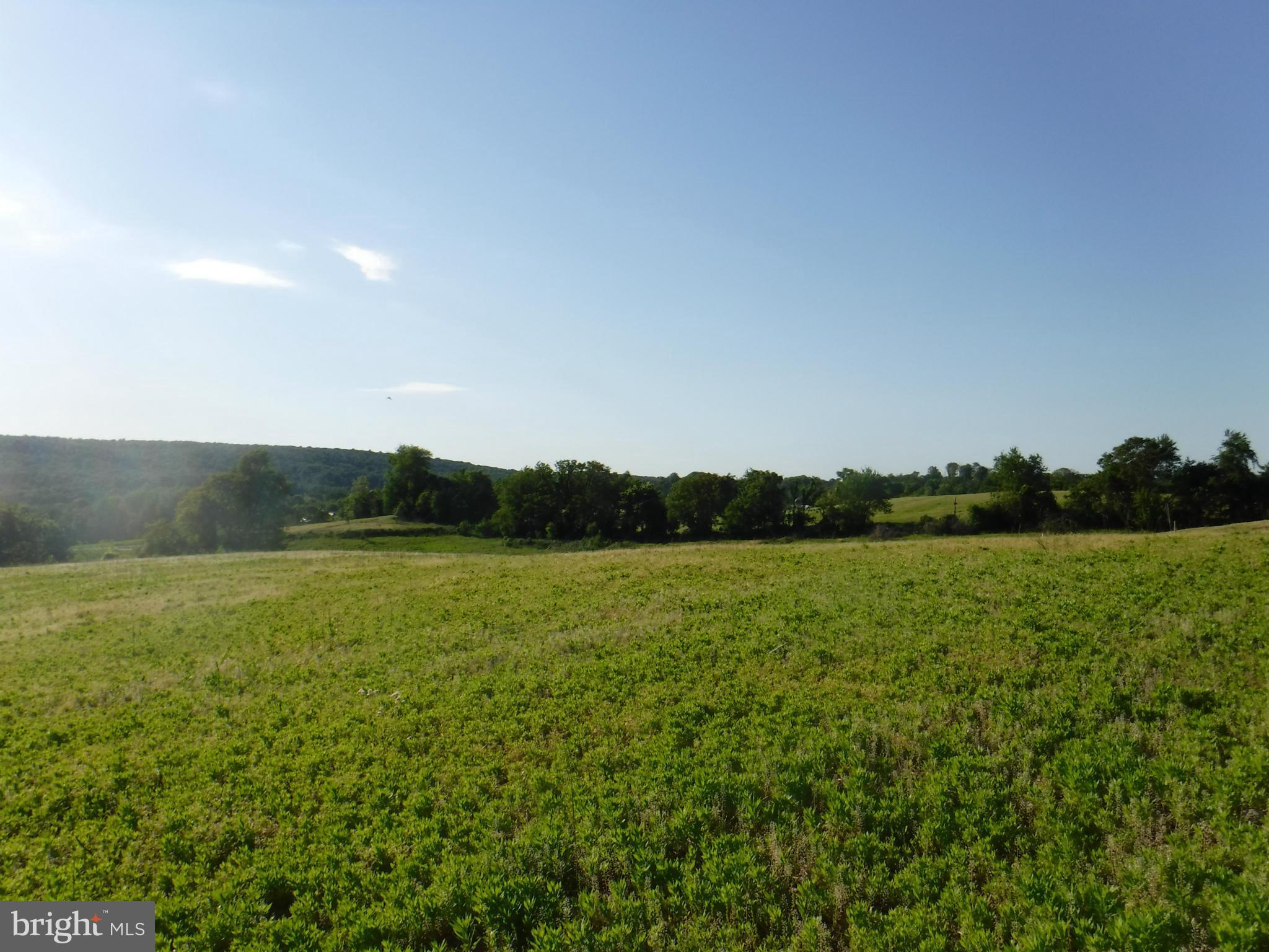 20617 Gapland Road Rohrersville, MD 21779 - Photo 16 of 30 View