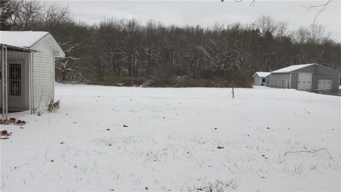 8299 State Street Road Mentz, NY 13140 - Photo 3 of 14 Back yard view...acreage