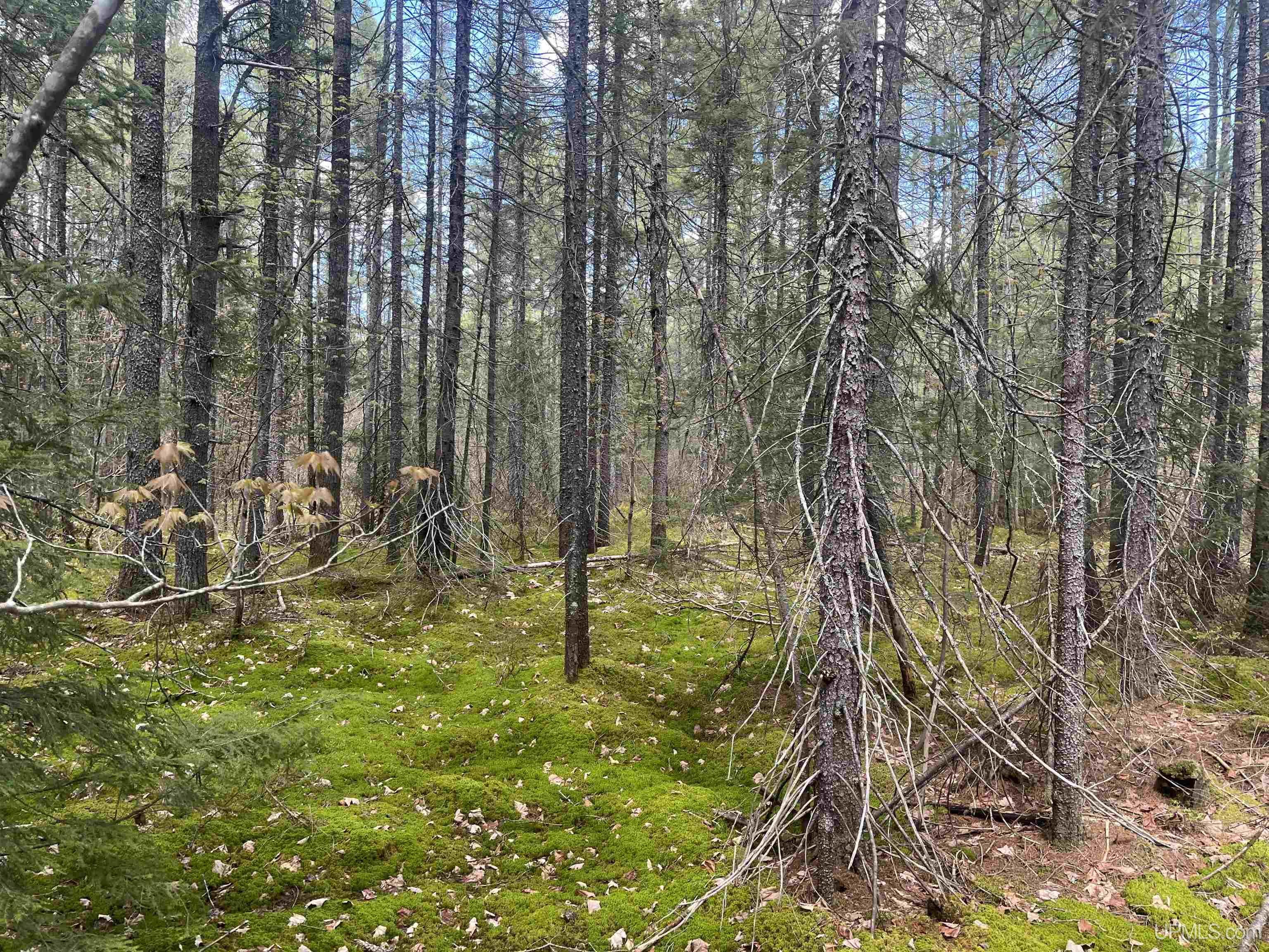 450 Rd Seney Mi 49883 Road Seney, MI 49883 - Photo 15 of 33