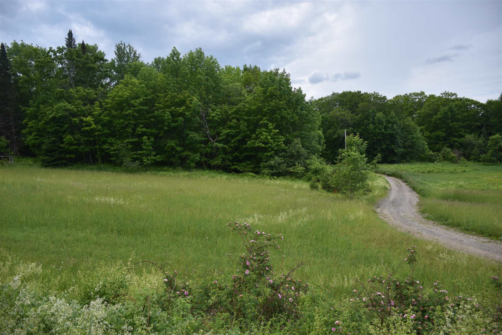 234 Sargent Road Washington, VT 05675 - Photo 29 of 40