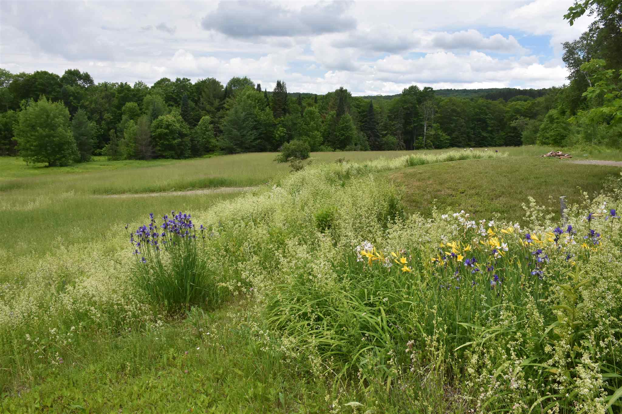 234 Sargent Road Washington, VT 05675 - Photo 30 of 40