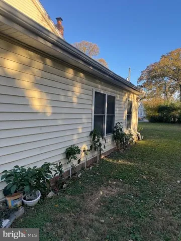 a view of a backyard with plants and a garden