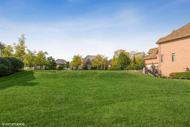 a backyard of a house with plants and large trees