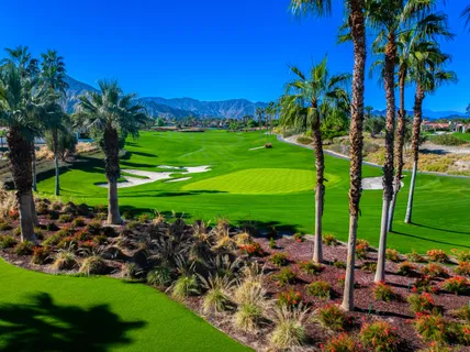 a view of a yard with palm trees