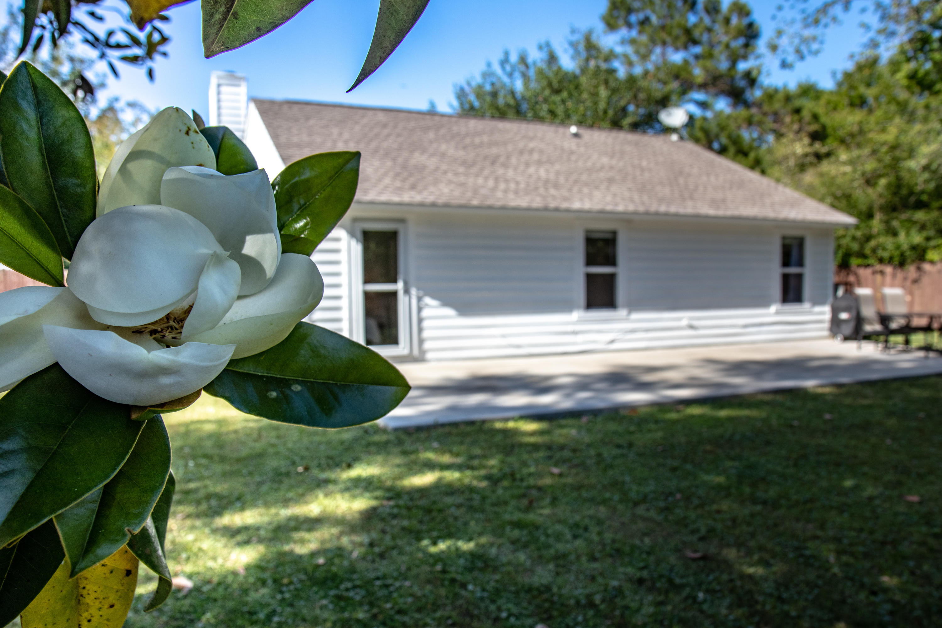 1149 Bellwood Road Charleston, SC 29412 - Photo 50 of 53 Exterior-5-2