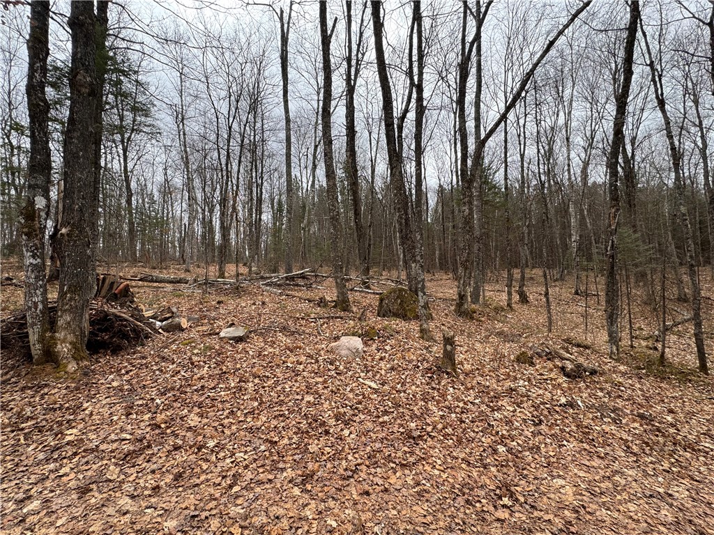 Lot 3 North Scheers Road Hayward, WI 54843 - Photo 12 of 17