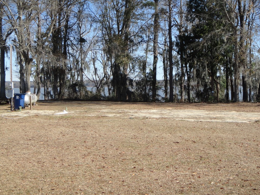 2791 Calhoun Drive Abbeville, AL 36310 - Photo 6 of 12