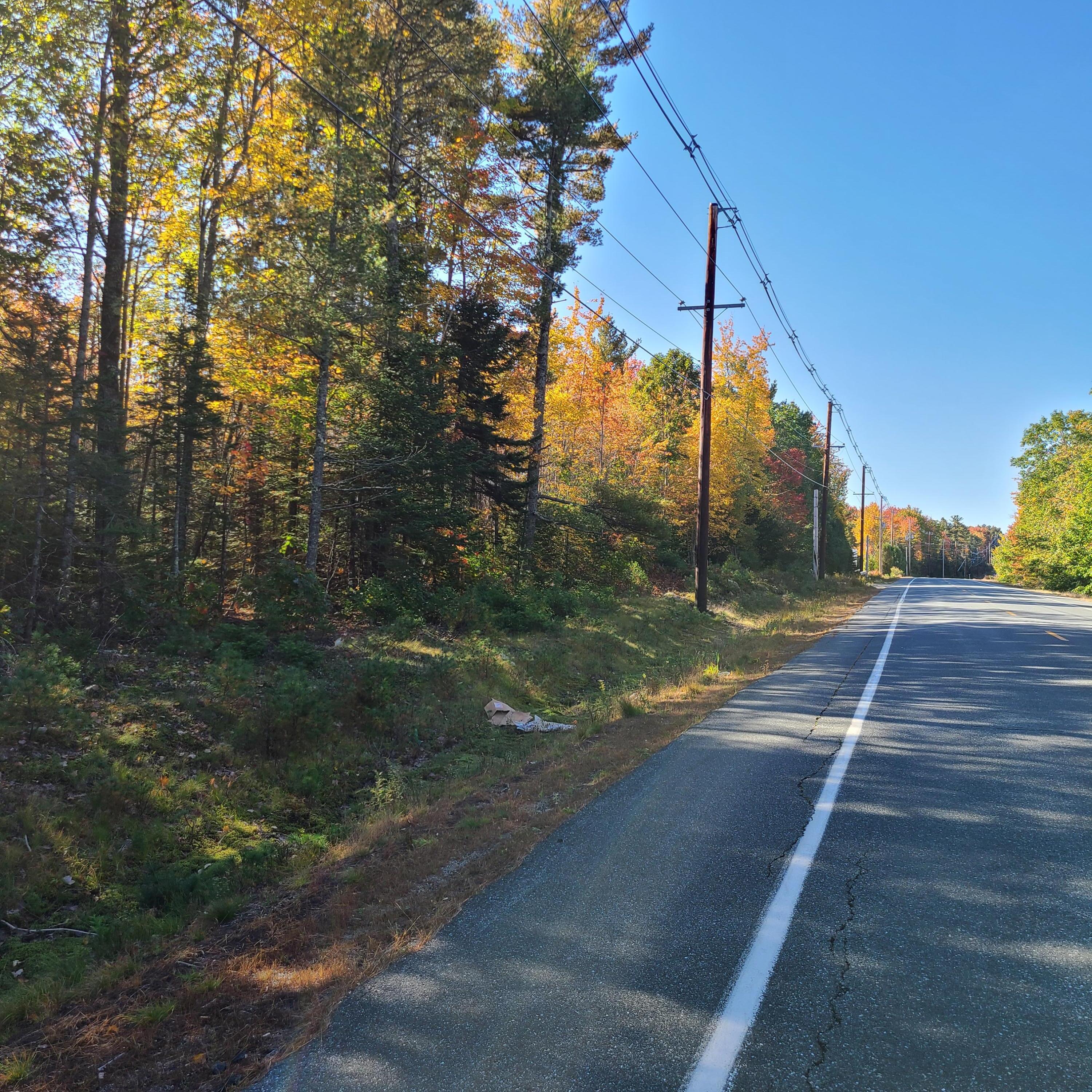 0 Blue Hill Road Surry, ME 04684 - Photo 11 of 11 20211011_100932