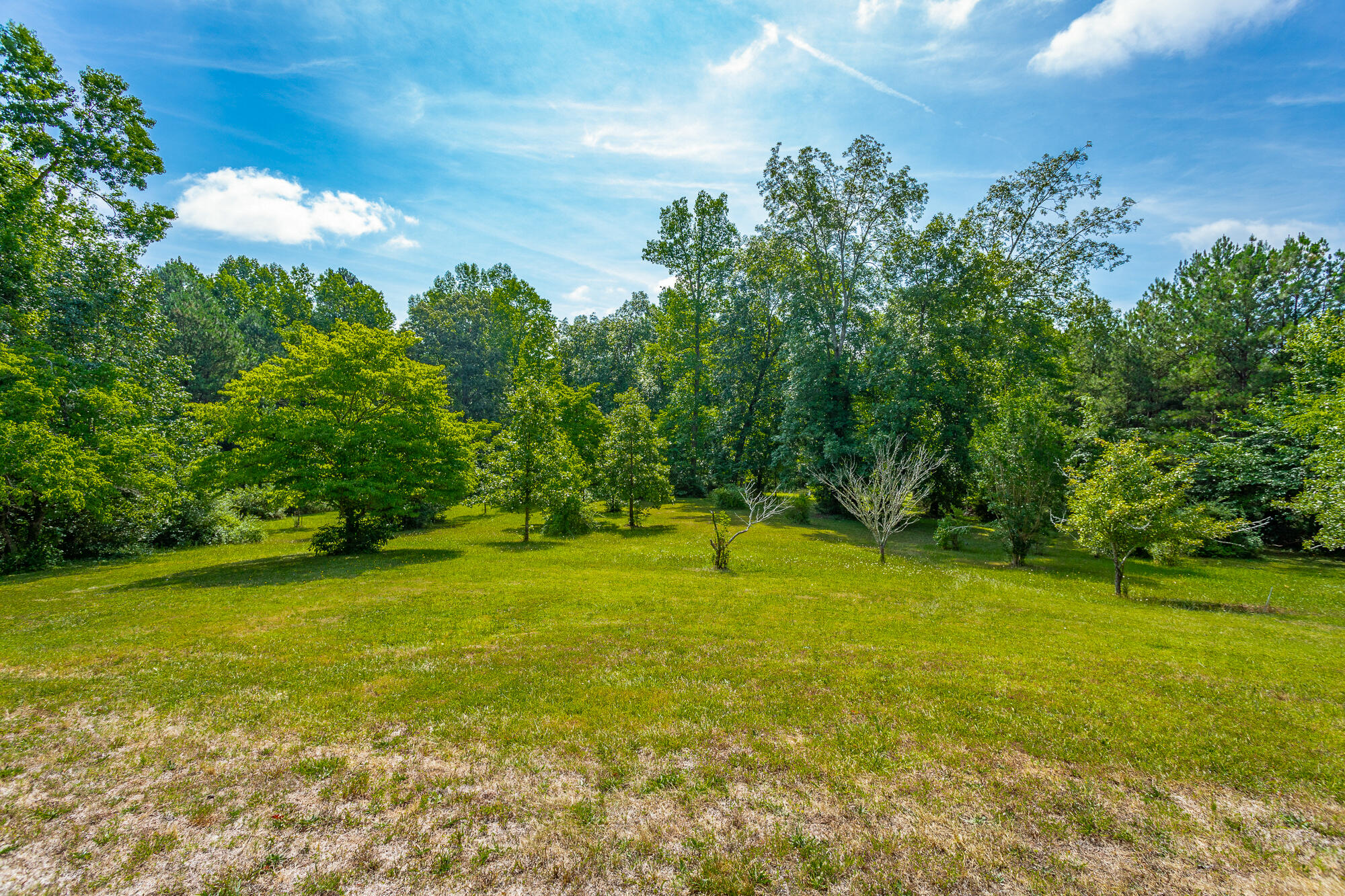 4030 McDonald Road Apison, TN 37302 - Photo 8 of 39 4030 McDonald Road HD-49