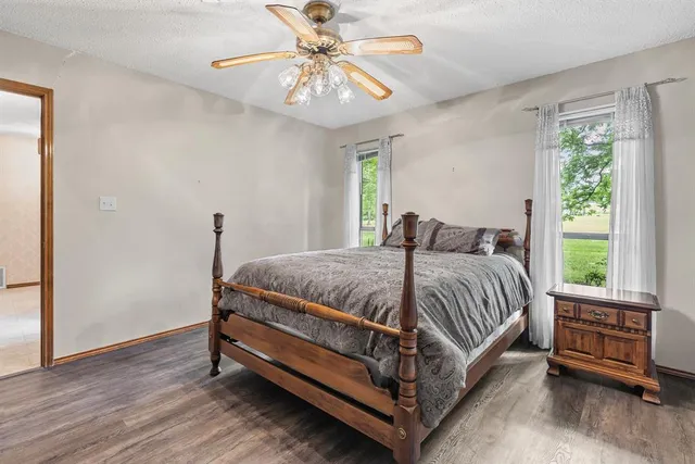 a view of a yard with an trees