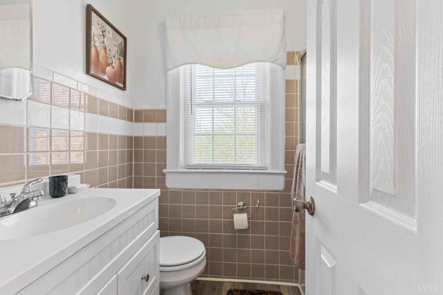 133 Ridge Drive Amherst, VA 24521 - Photo 34 of 61 a bathroom with a sink a toilet and shower curtain