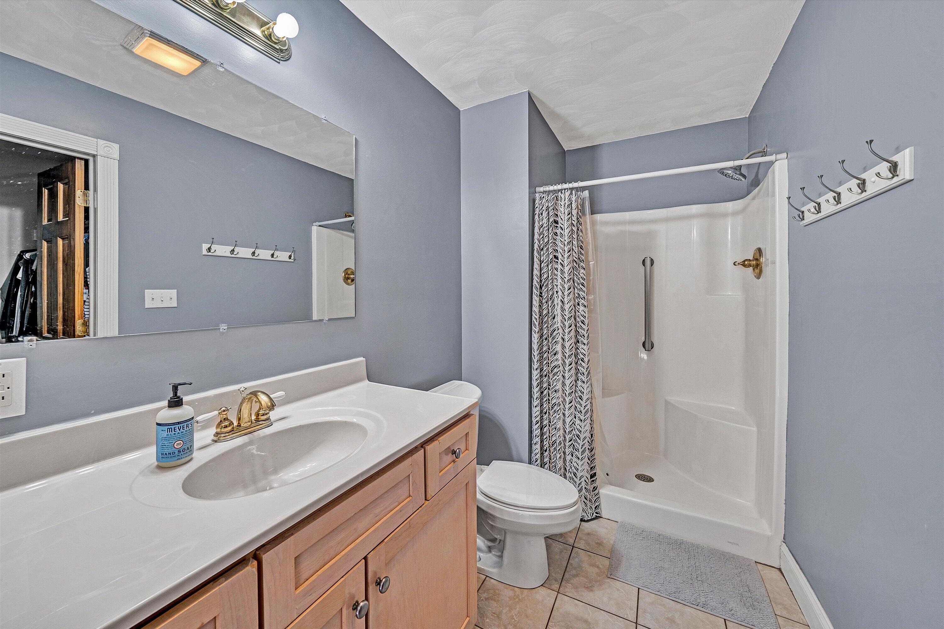 409 Wills Road Lexington, VA 24450 - Photo 23 of 42 a bathroom with a sink a toilet and shower