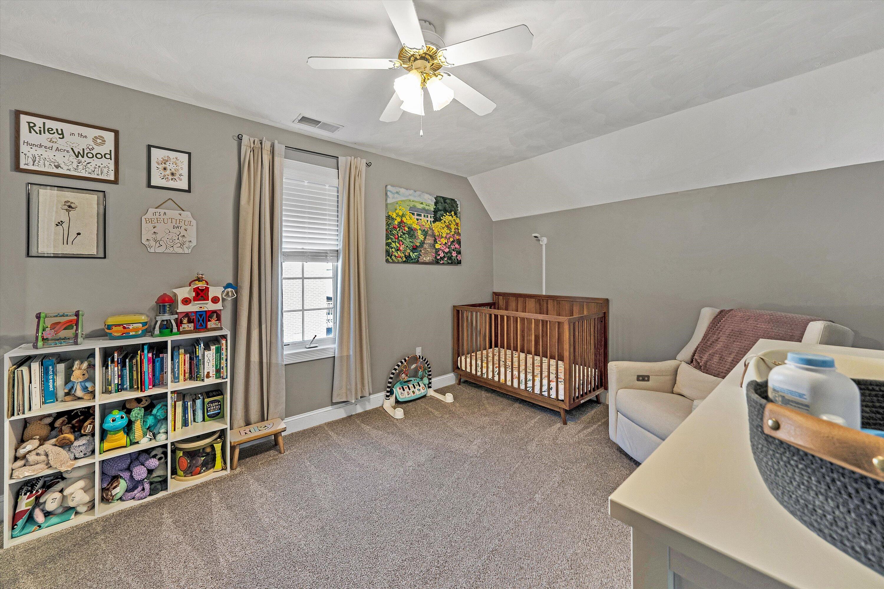 409 Wills Road Lexington, VA 24450 - Photo 25 of 42 a living room with furniture and a book shelf