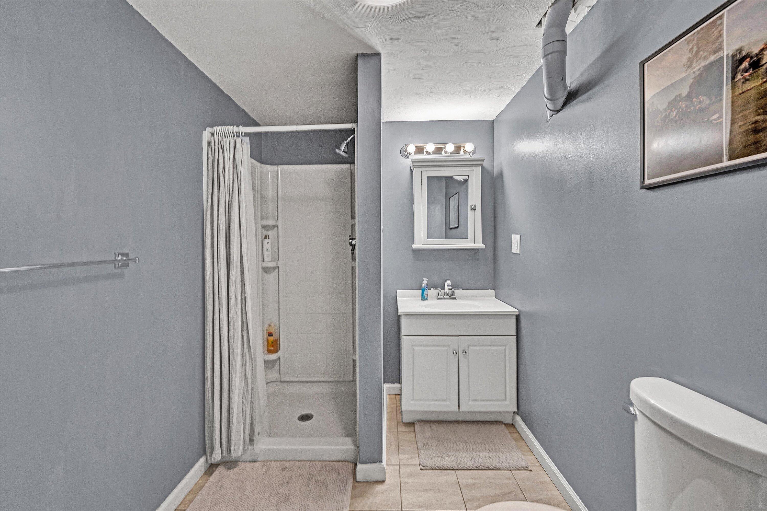 409 Wills Road Lexington, VA 24450 - Photo 37 of 42 a bathroom with a shower and a toilet