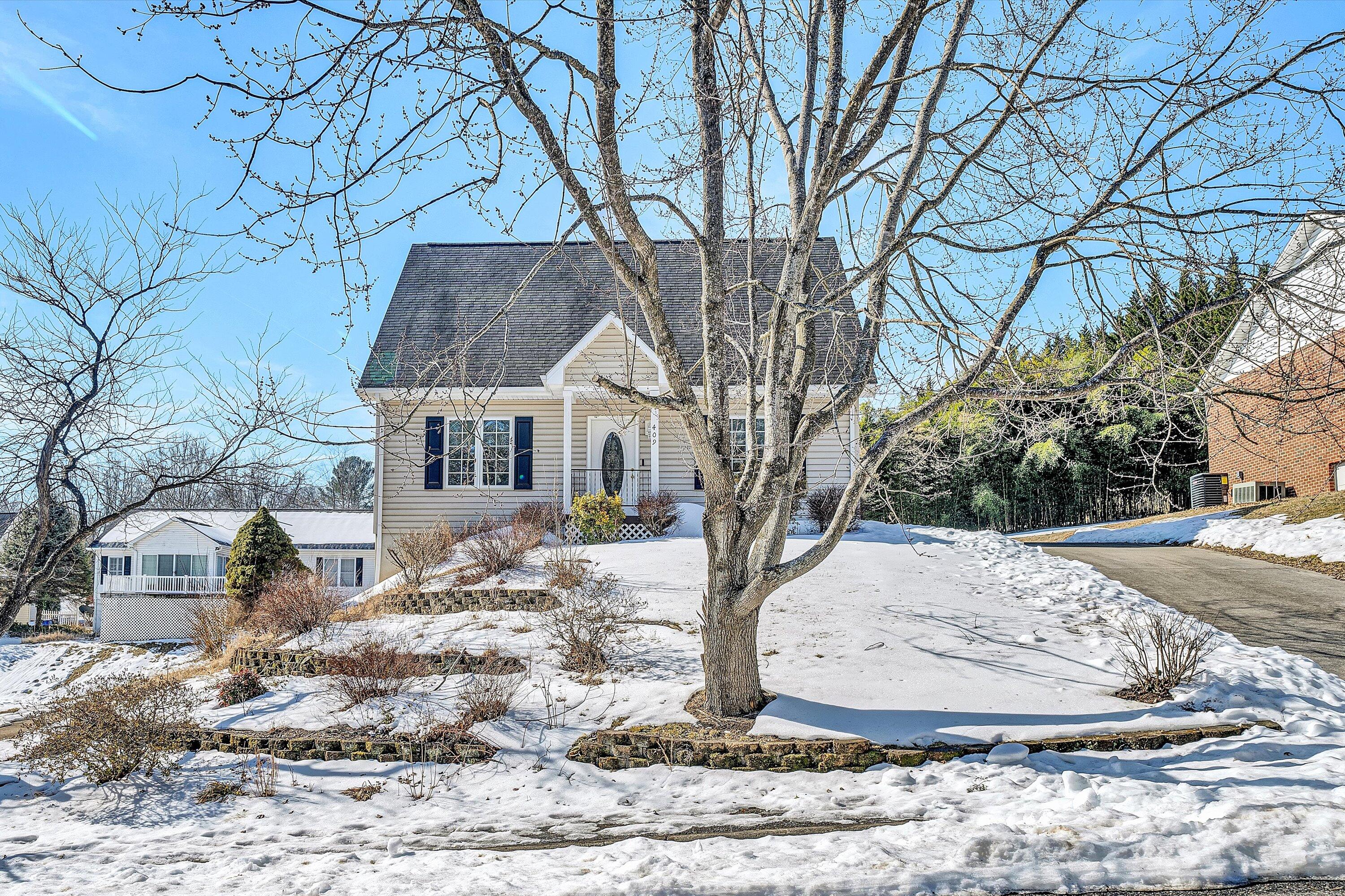 409 Wills Road Lexington, VA 24450 - Photo 41 of 42 a view of a house with a yard covered in snow