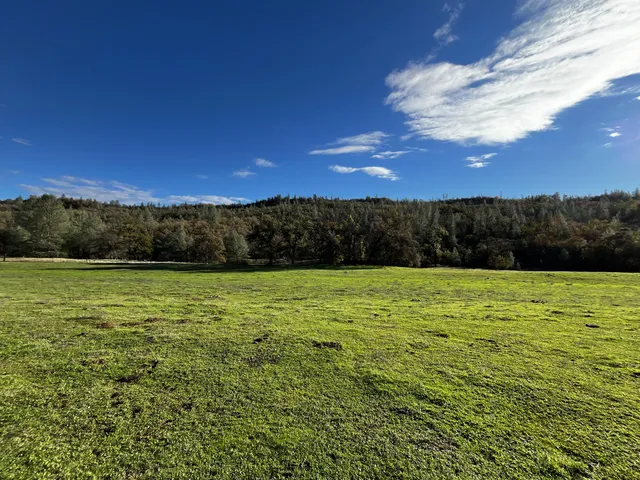 a view of outdoor space with deck and yard