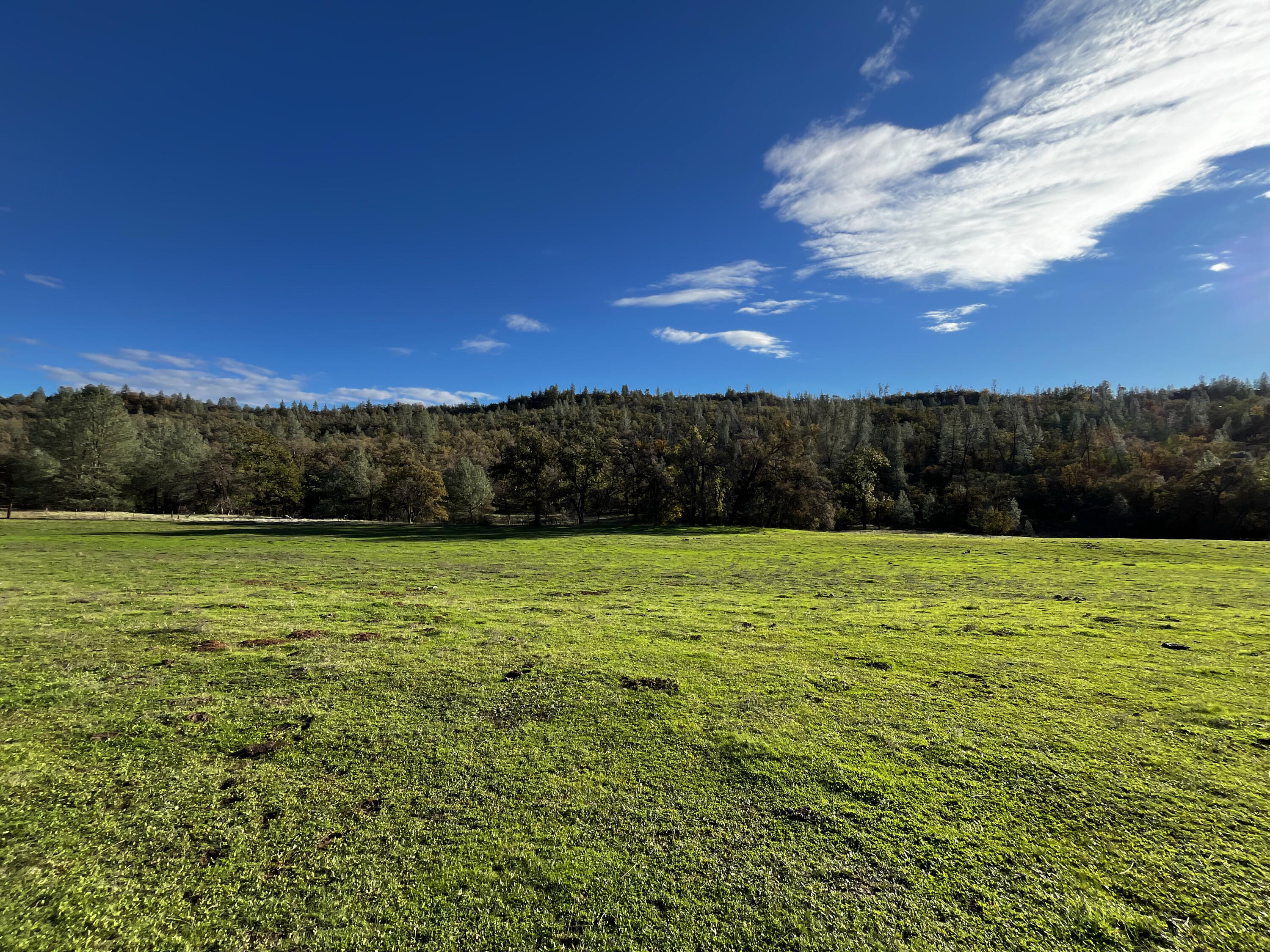 0 Whitmore Road Whitmore, CA 96096 - Photo 1 of 10 a view of outdoor space with deck and yard