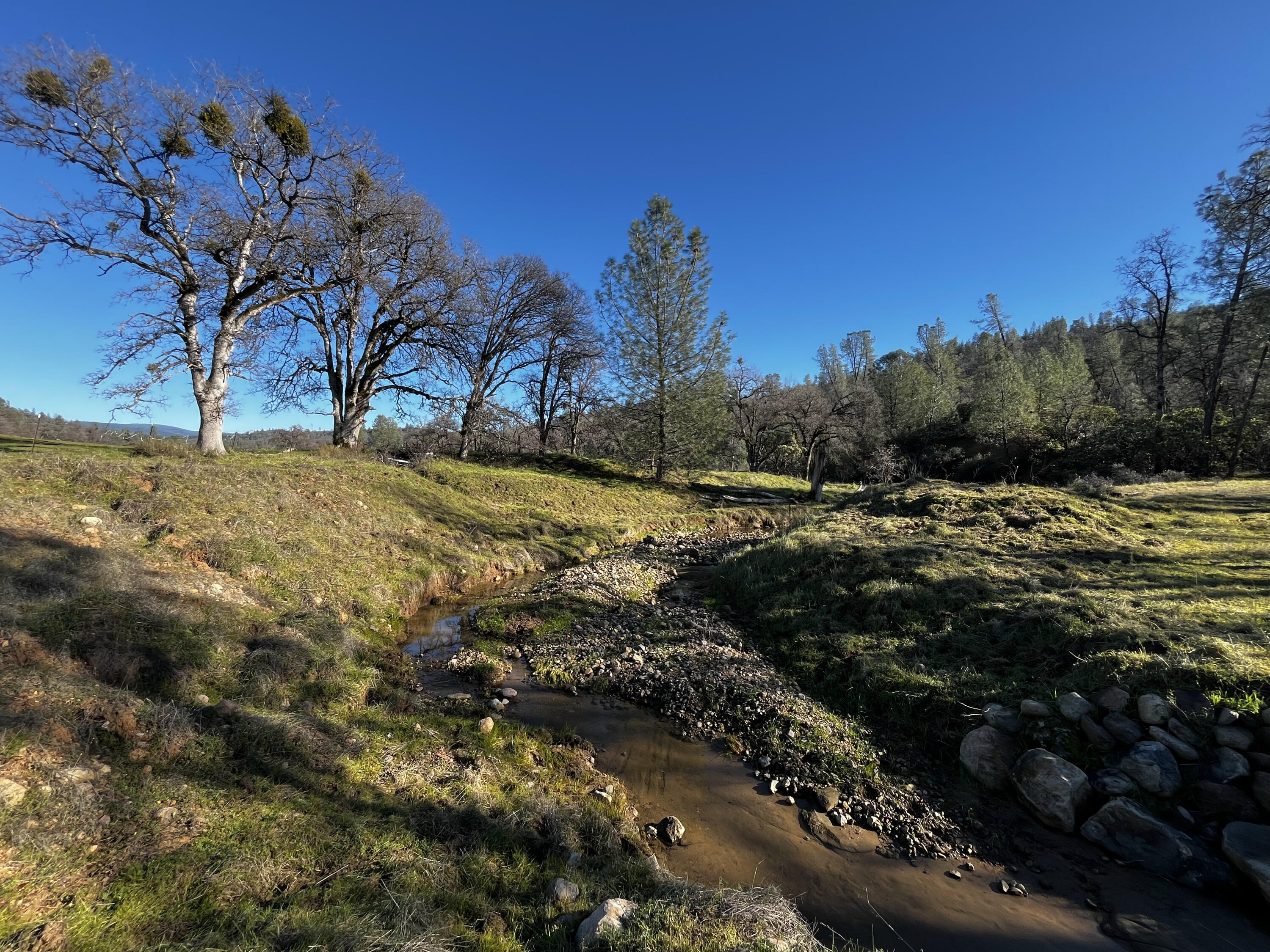 0 Whitmore Road Whitmore, CA 96096 - Photo 11 of 18 IMG_1988