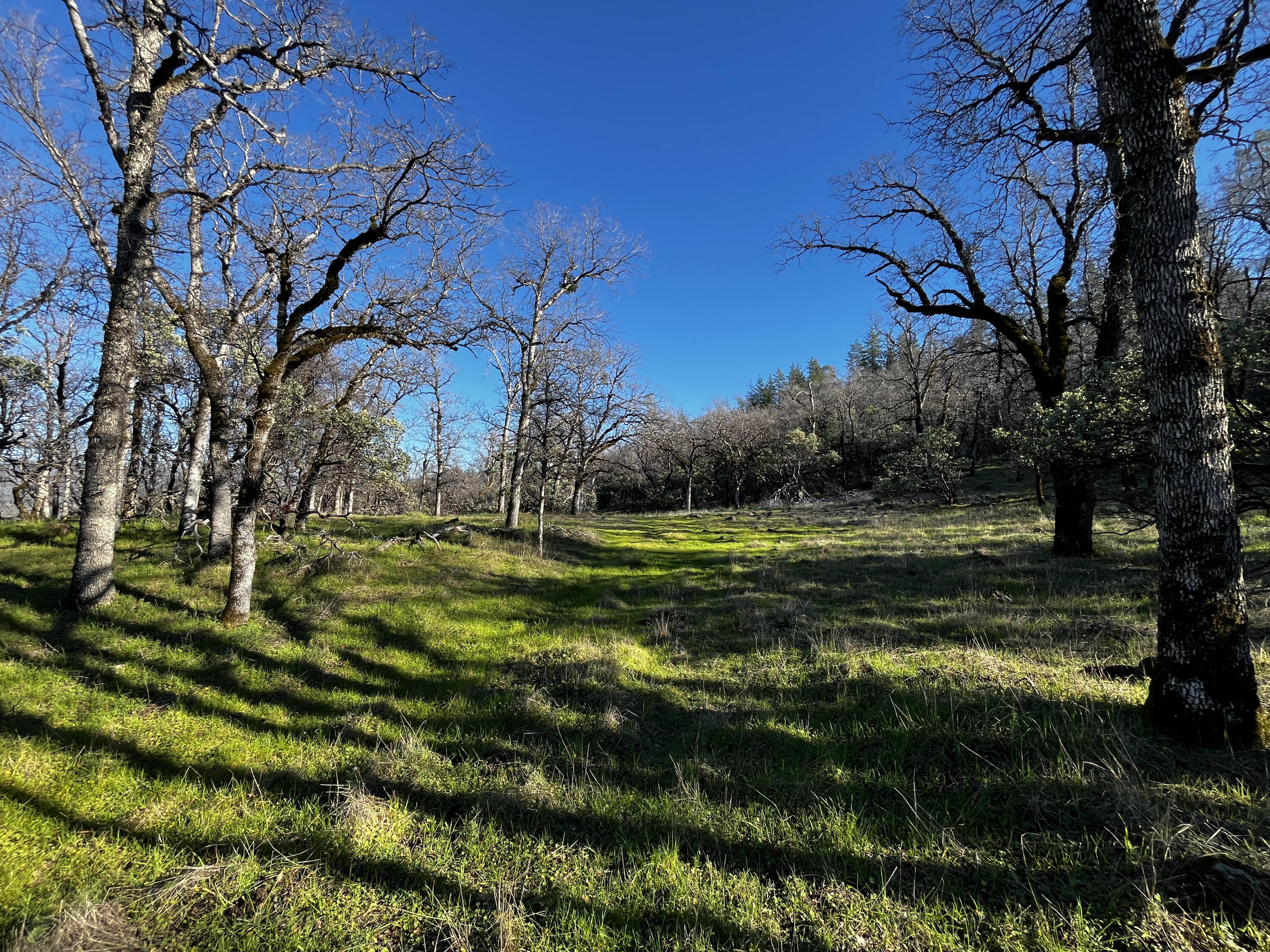 0 Whitmore Road Whitmore, CA 96096 - Photo 13 of 18 IMG_2010