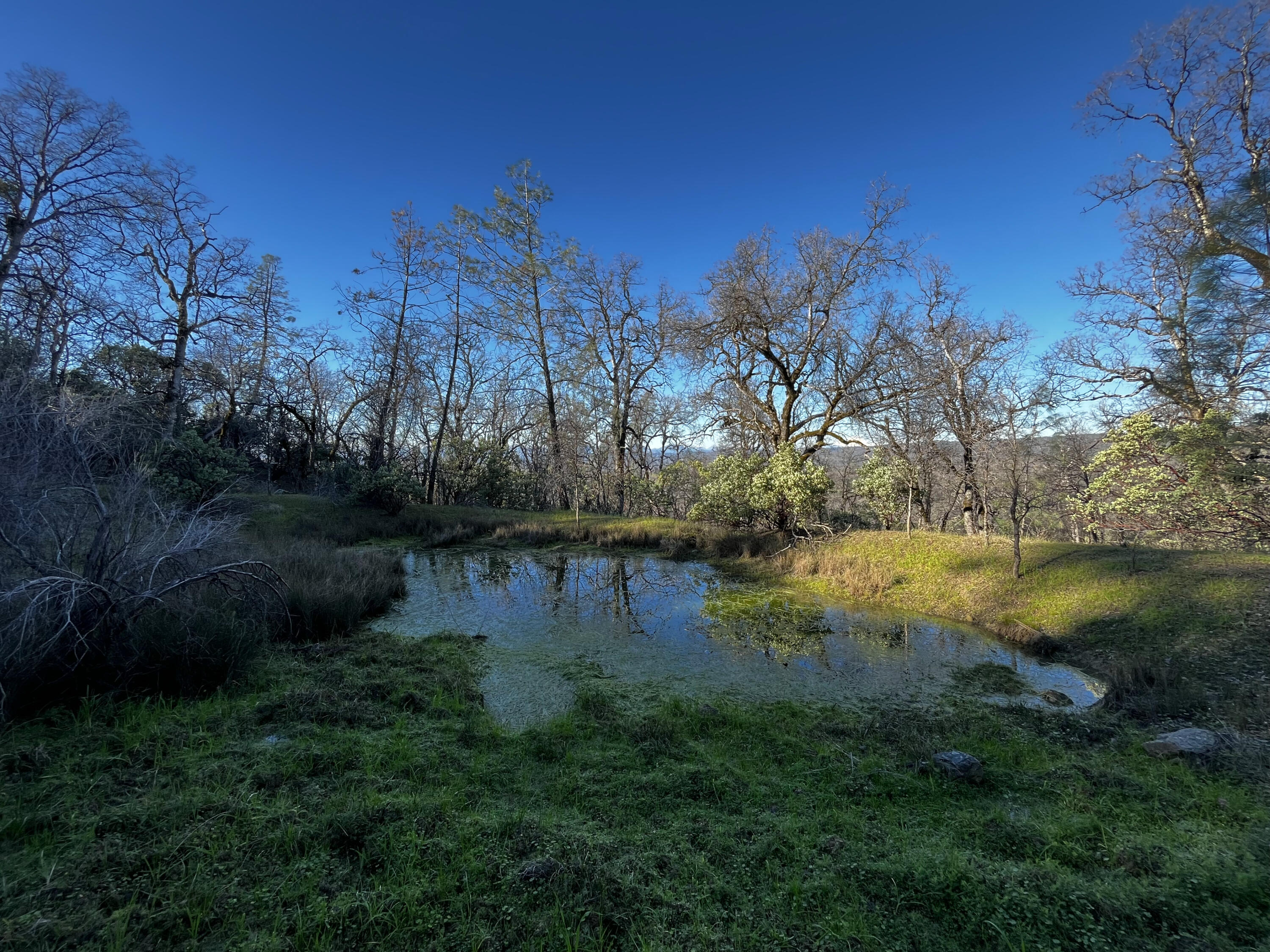 0 Whitmore Road Whitmore, CA 96096 - Photo 15 of 18 IMG_2019