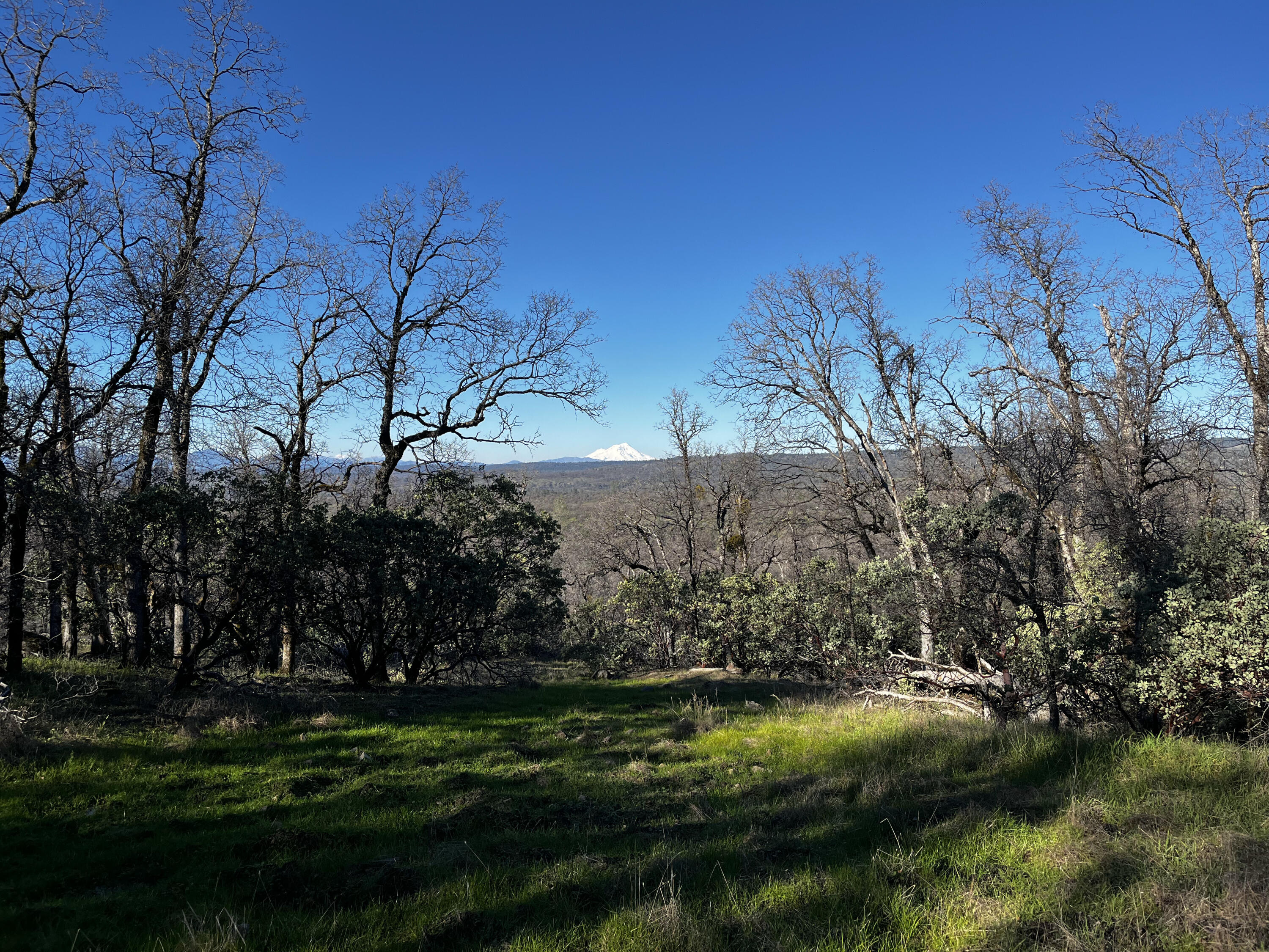 0 Whitmore Road Whitmore, CA 96096 - Photo 17 of 18 IMG_2016