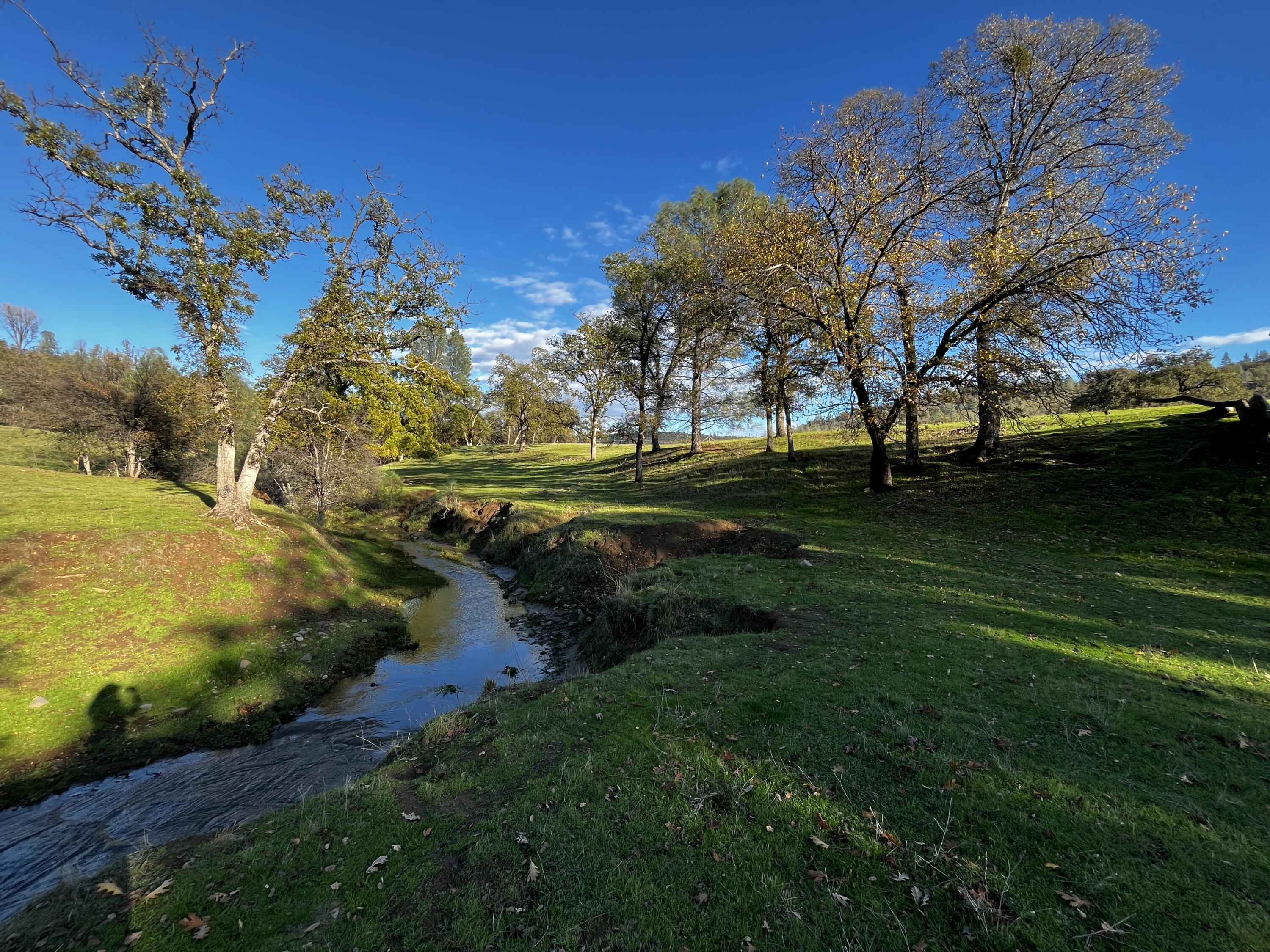 0 Whitmore Road Whitmore, CA 96096 - Photo 3 of 10 a view of a park with large trees
