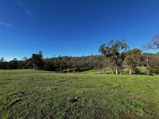 a view of a grassy field with trees