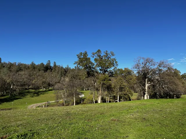 a grassy field with trees in the background