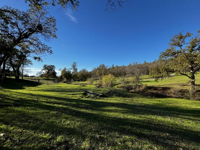 a view of grassy field with trees