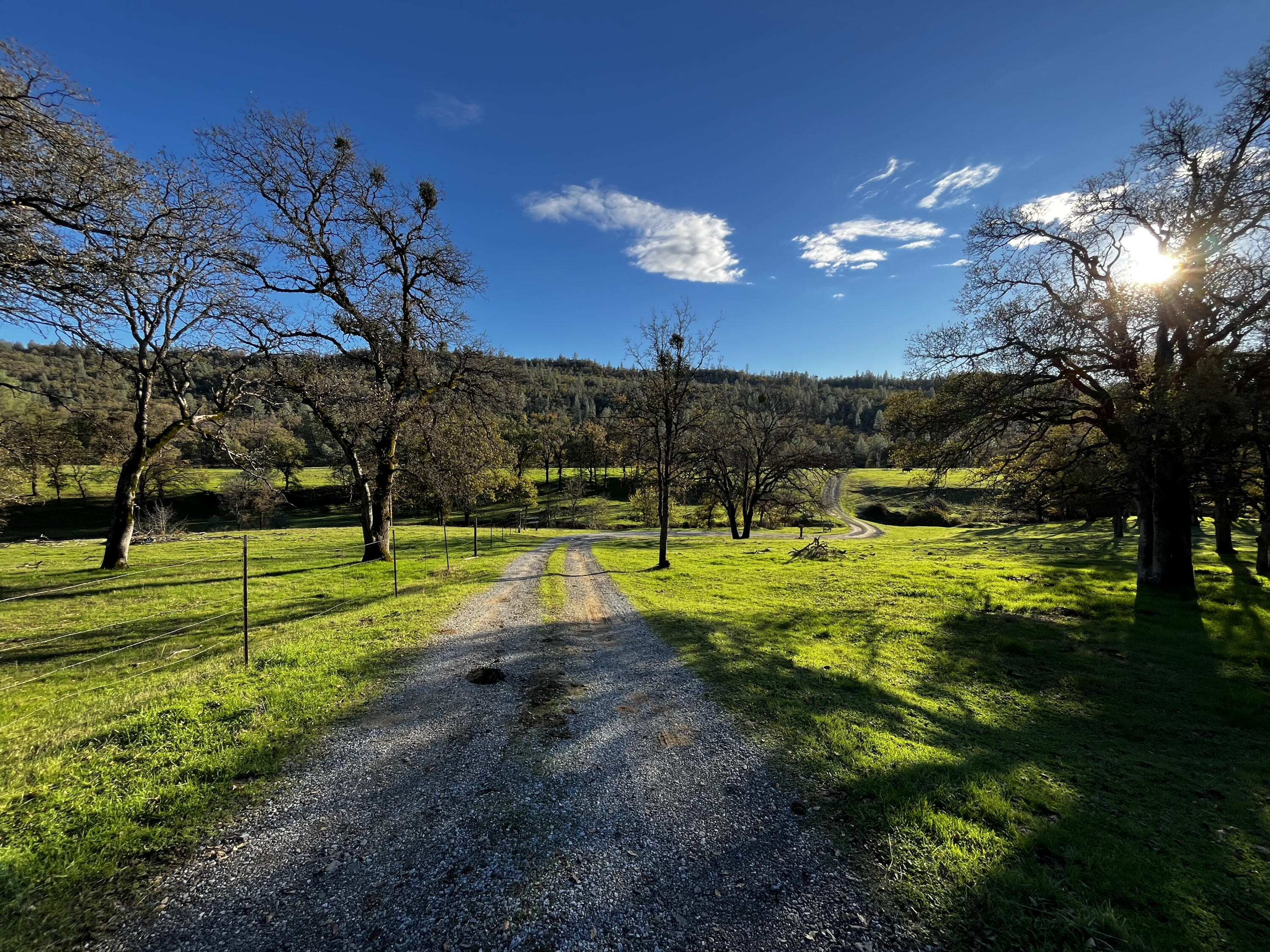 0 Whitmore Road Whitmore, CA 96096 - Photo 9 of 10 a view of a golf course with a lake