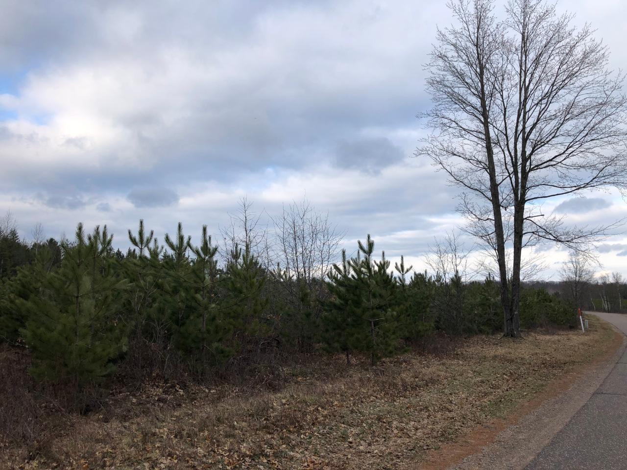 97-acres Cedar Falls Road Hazelhurst, WI 54531 - Photo 12 of 20 Gallery Image 12