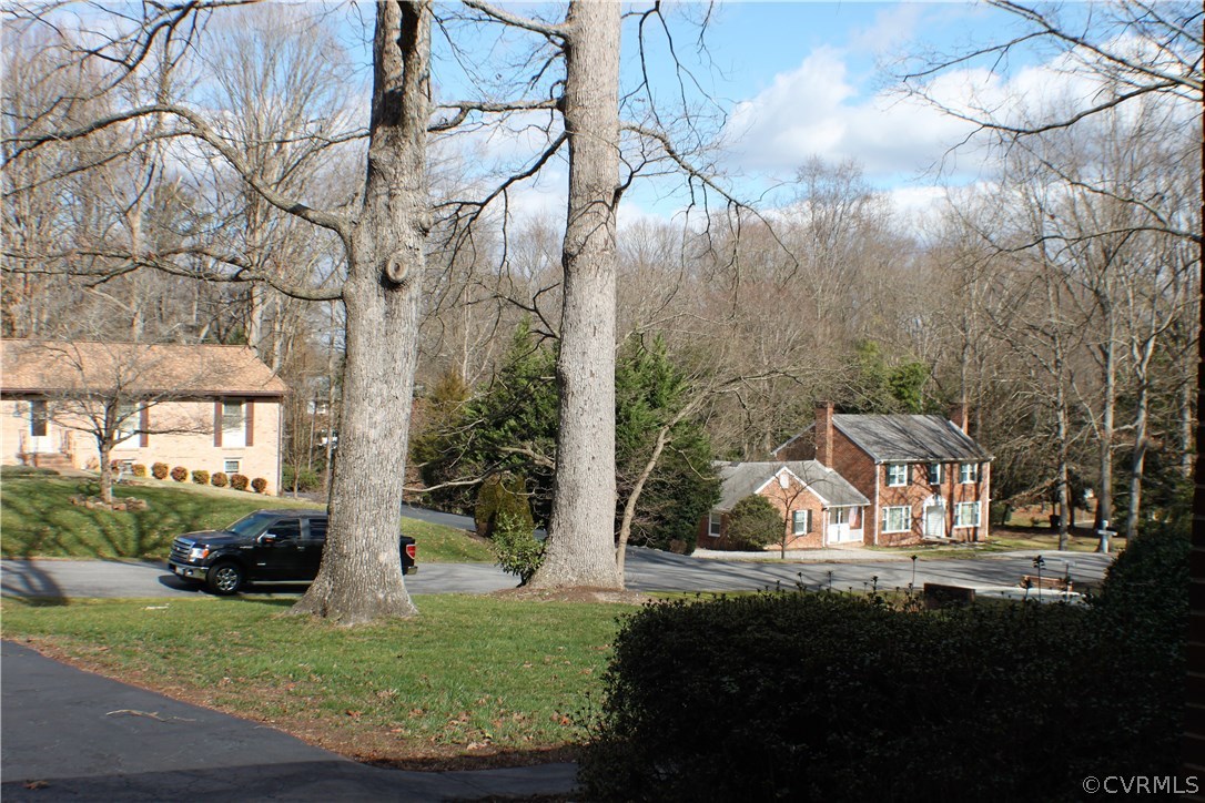 9931 Trebeck Road Chesterfield, VA 23236 - Photo 40 of 43 a view of yard with tree in it