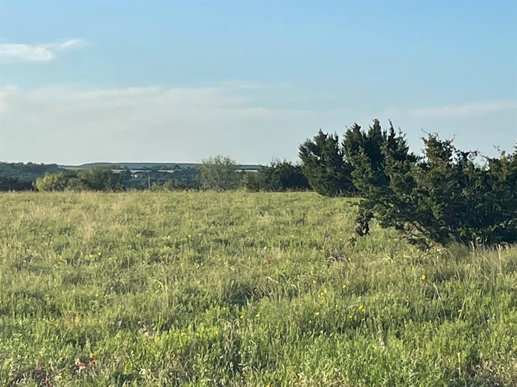 200 Pr 16028 Road Jonesboro, TX 76538 - Photo 4 of 17 Expansive open field with natural grass and scattered low-lying shrubs