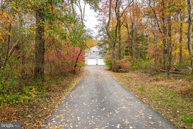 a view of a house with a yard and potted plants