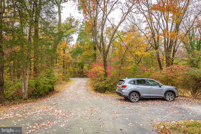 a view of a yard with plants and wooden fence