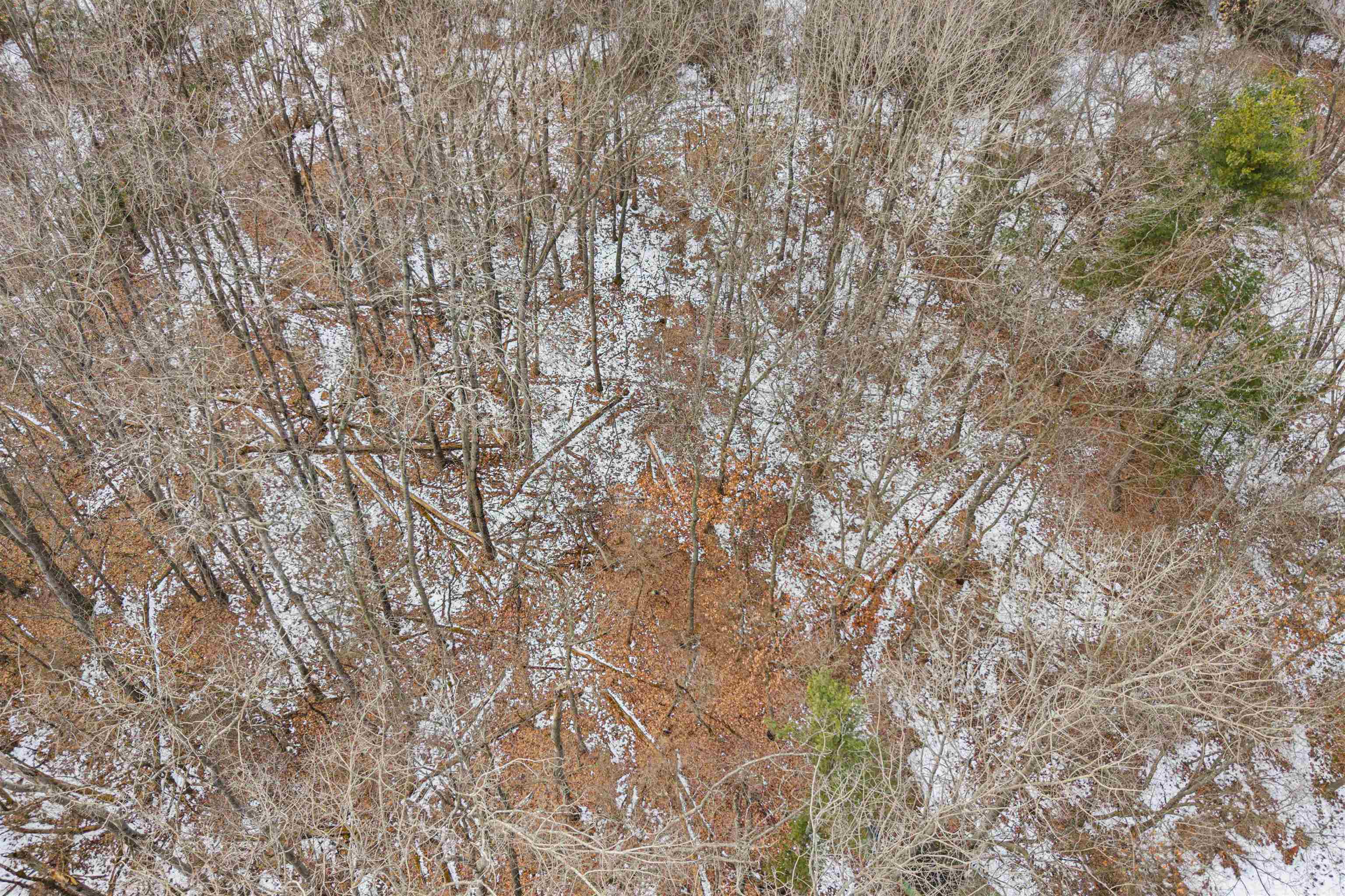 W6769 South Silver Lake Road Wautoma, WI 54982 - Photo 41 of 49