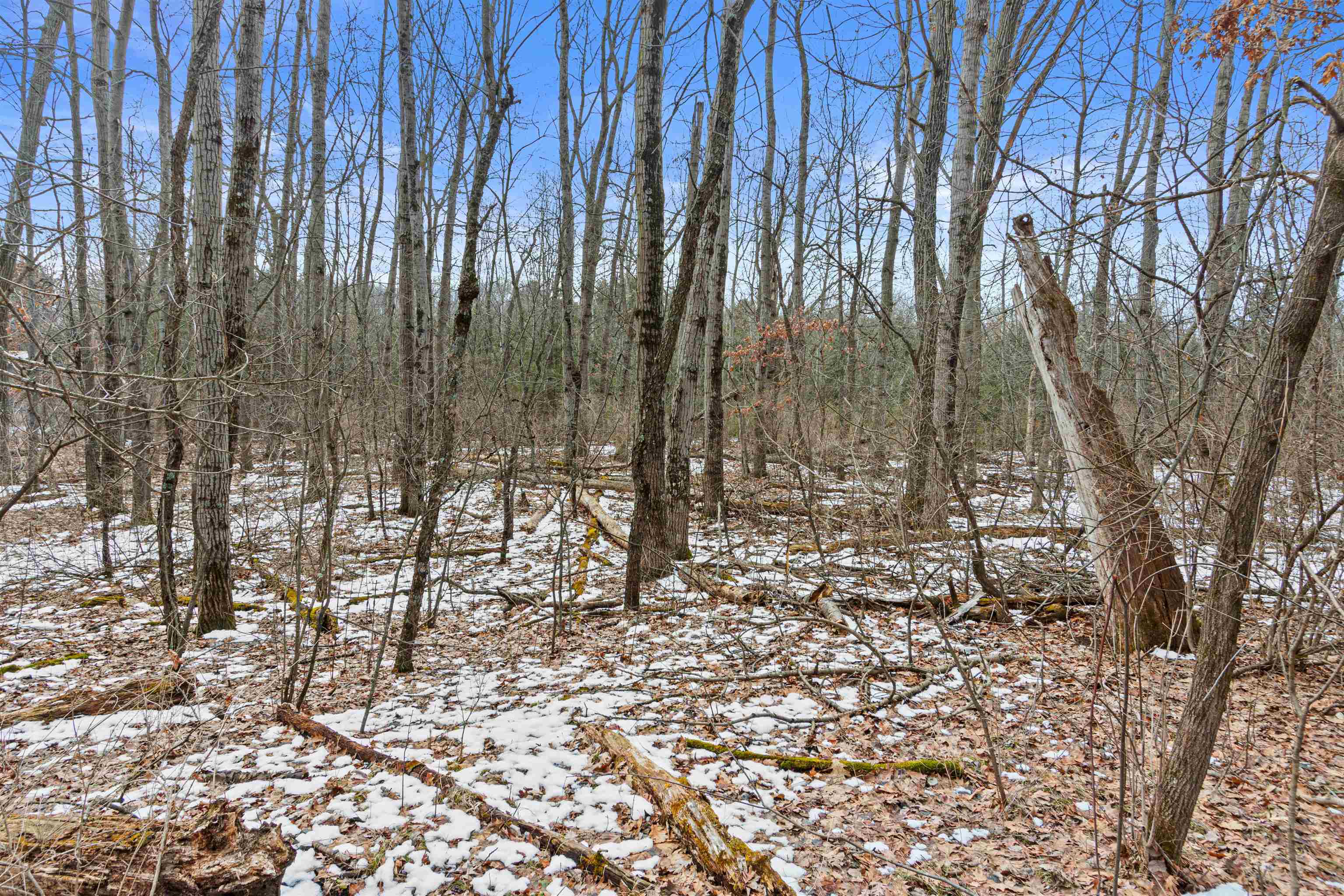 W6769 South Silver Lake Road Wautoma, WI 54982 - Photo 49 of 49