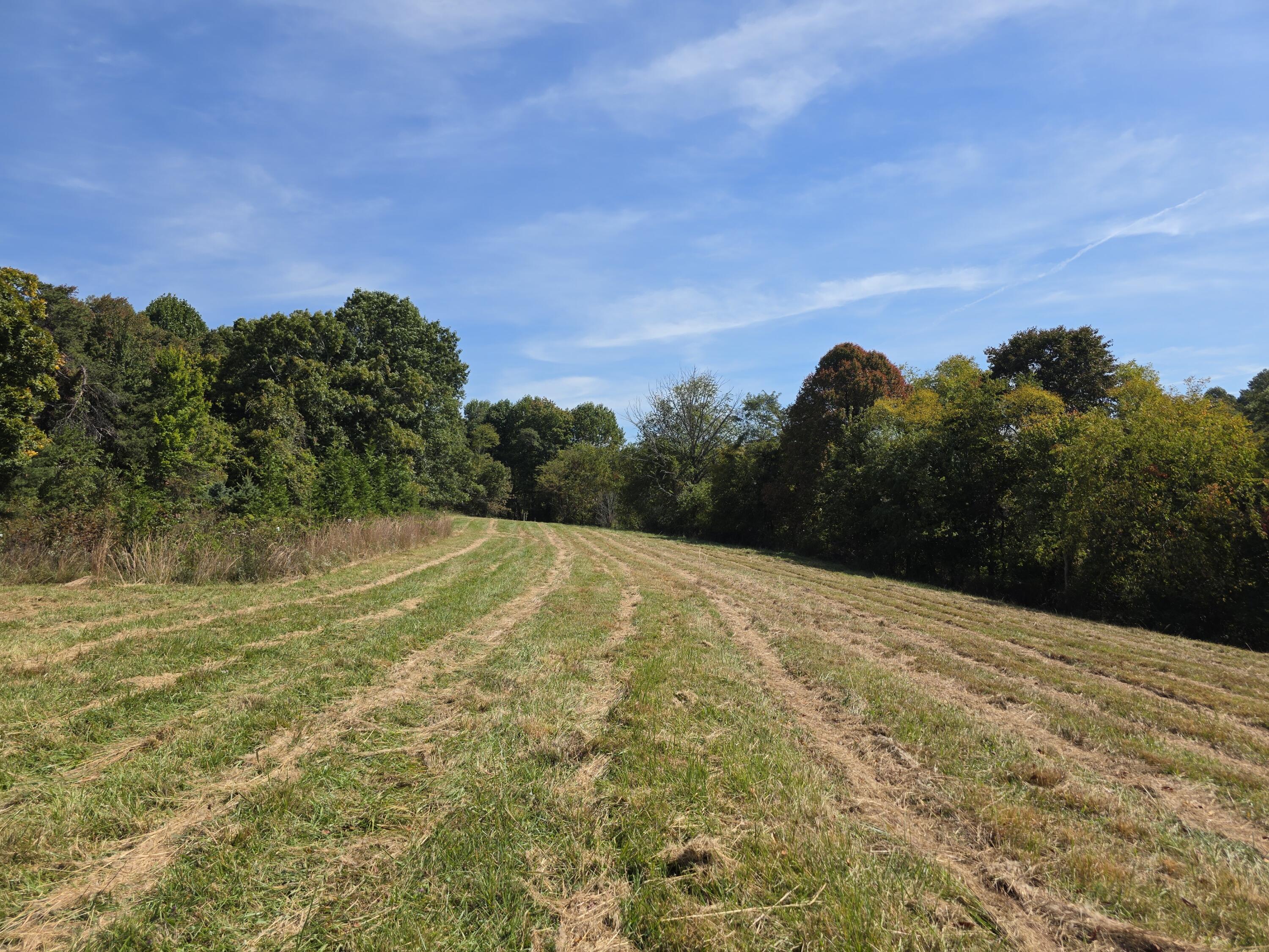 Tbd Ridge Road Northeast Pilot, VA 24138 - Photo 14 of 25 20261002_124338