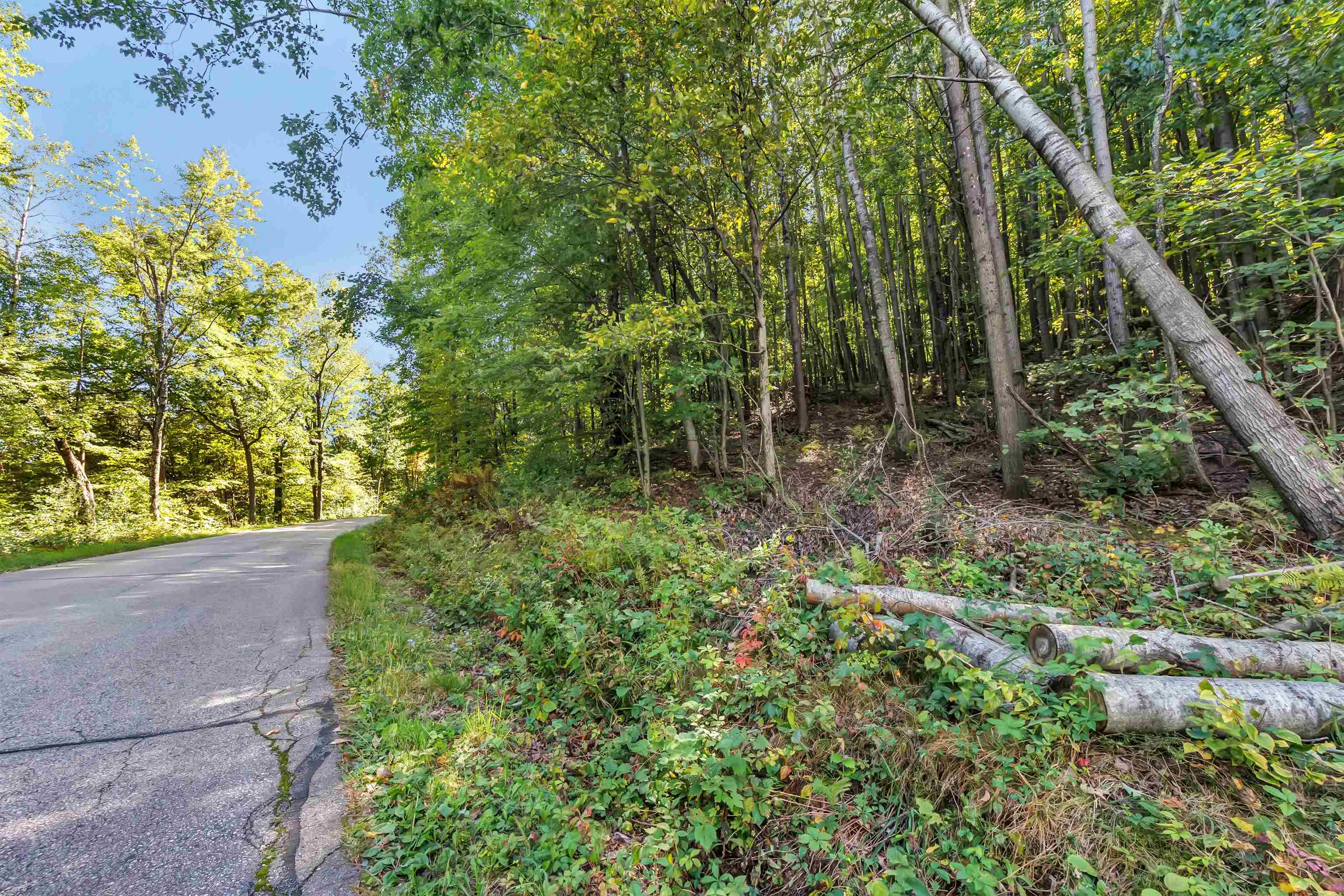 West Hill Road Iola, WI 54945 - Photo 17 of 22 Gallery Image 17
